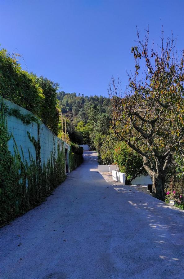 Pera Da Serra - Turismo No Espaco Rural Lousã Kültér fotó